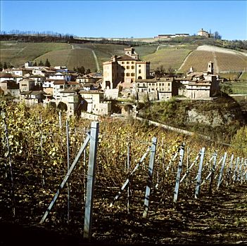 城镇,巴罗洛葡萄酒,城堡,意大利