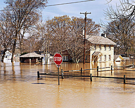 美国,家,洪水,俄亥俄河,大幅,尺寸