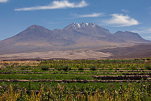智利,阿塔卡马沙漠,山,地点