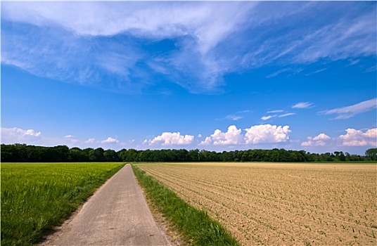 乡村,道路