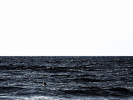 人,穿,潜水服,坐,冲浪板,海洋