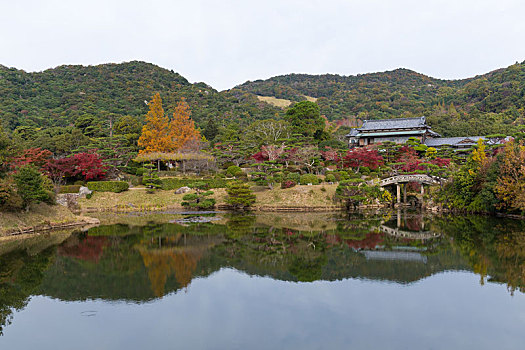 秋天,日式庭园