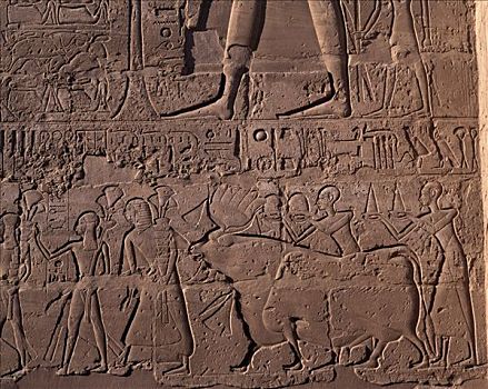 浮雕,埃及艺术,卡尔纳克神庙,路克索神庙,埃及