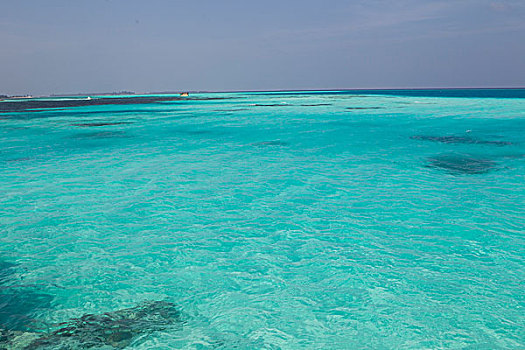 马尔代夫海水特写