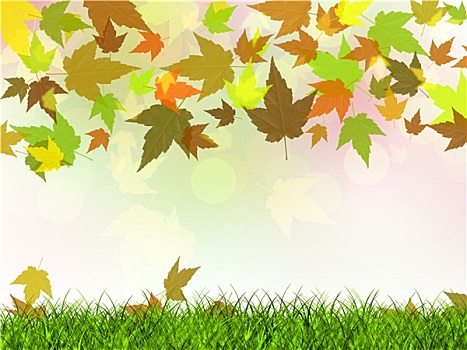 秋天,生锈,叶子,落下,草地
