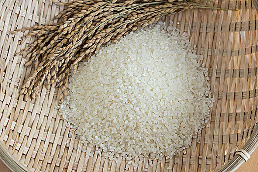 稻米,植物,竹篮