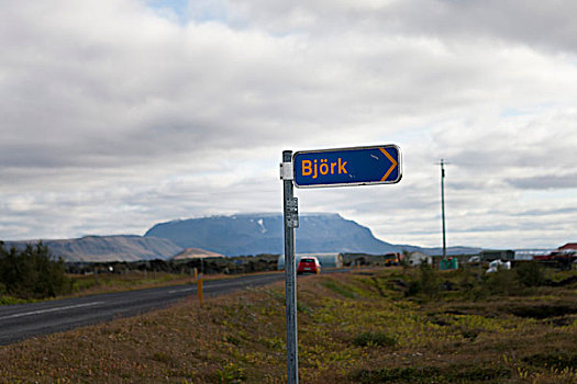 路标,指向,冰岛