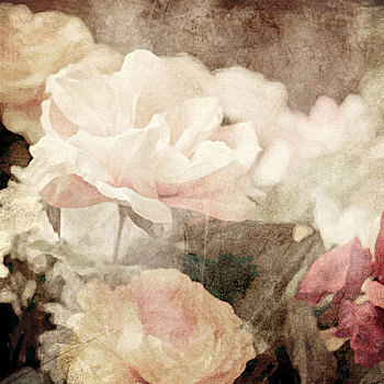 艺术,花,旧式,背景,白色,淡粉色,玫瑰,深褐色
