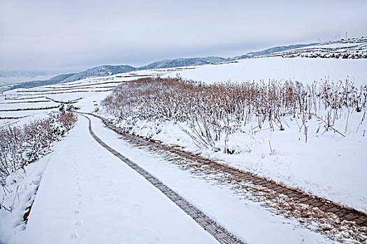 云南东川红土地雪原中的公路