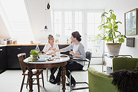 两个,成熟女性,坐,厨房用桌,茶