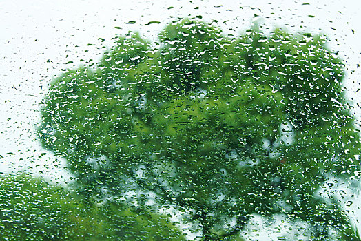 下雨,公园,玻璃窗