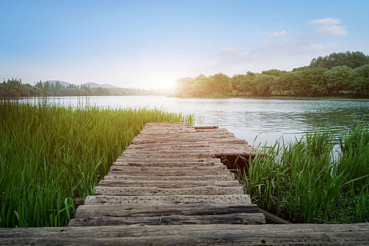 城市园林湖泊景观