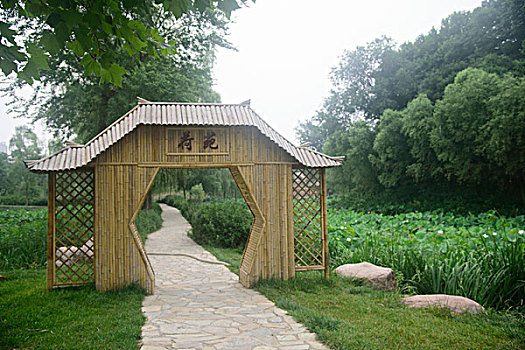 郑州西流湖公园荷花园