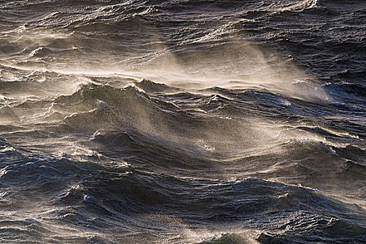 急浪,波浪,白浪,海面,北方,大西洋