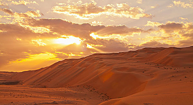 日落,上方,沙丘,绿洲,阿布扎比,阿联酋