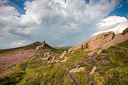 彩虹,毯子,石南花,石头,峰区国家公园