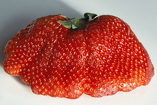 特写,大,畸形,草莓