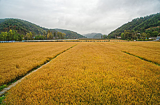 陕西延安南泥湾