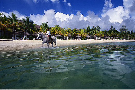 骑马,海滩,毛里求斯