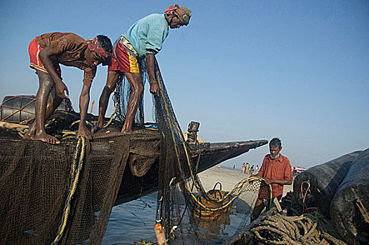 渔民,湾,孟加拉,库尔纳市,十一月,2008年