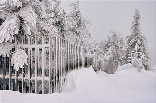 冬天,围栏