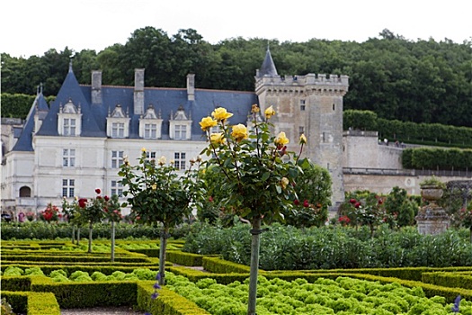 花园,城堡,维朗德里城堡,卢瓦尔河谷,法国