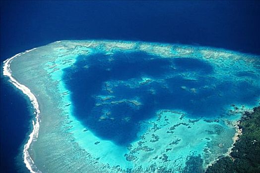 斐济,航拍,珊瑚礁,围绕,岛屿