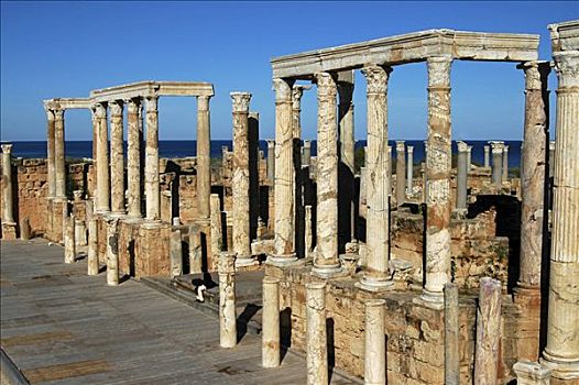 石头,柱子,罗马,遗址,圆形剧场,利比亚,北非
