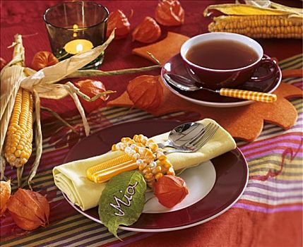 秋天,玉米,餐巾