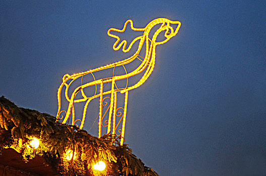 驯鹿,圣诞灯饰,装饰,圣诞市场,多特蒙德,鲁尔区,北莱茵威斯特伐利亚,德国,欧洲