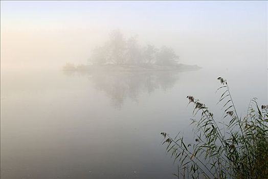 晨雾,上方,岛屿,瑞典