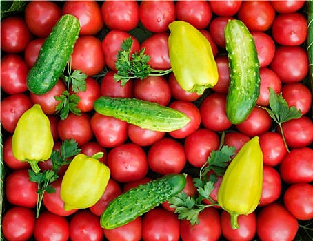 成熟,西红柿,鲜明,红色,小,尺寸,胡椒,黄瓜