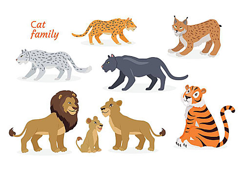猫科动物,家族,豹亚科,虎,狮子,美洲虎,豹,雪豹,云,大,野生猫科动物,风格,矢量,插画
