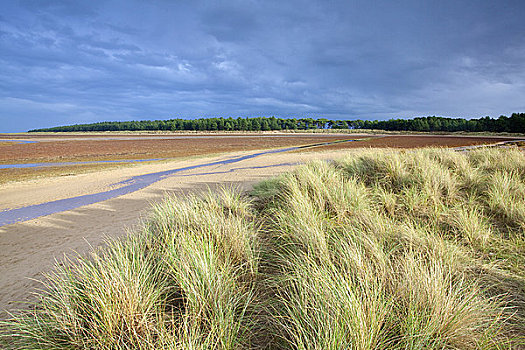 英格兰,诺福克,湾,沙丘,北方,海岸