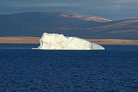冰山,正面,岛屿,通道西北部,努纳武特,加拿大,北极