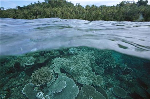 困难,珊瑚,泻湖,斐济