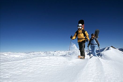 滑雪板,雪地鞋,远足者,瑞士