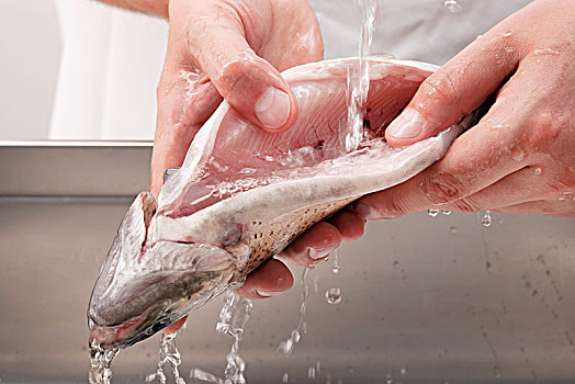 洗,鲑鱼,自来水