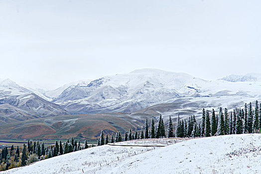 那拉提牧场雪景