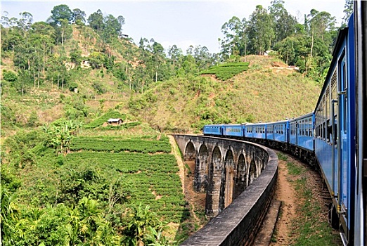 列车,桥,丘陵地区,斯里兰卡