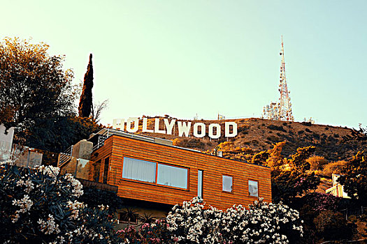洛杉矶,五月,好莱坞,标识,山,房地产,著名地标,美国