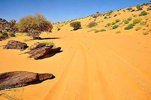 轮胎印,沙子,路线,阿德拉尔,区域,毛里塔尼亚,非洲