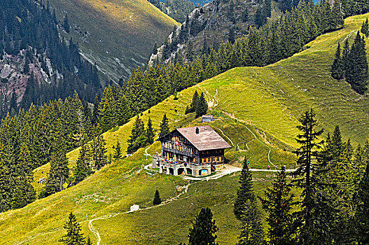 山,住宿,木房子,区域,弗里堡,阿尔卑斯山,瑞士,欧洲