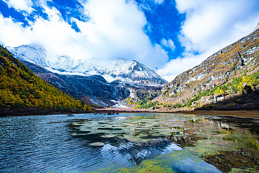 稻城亚丁秋色,秋季风光,高原雪山摄影,四川,甘孜州,秋天风景,自然风光摄影,仙乃日,央迈勇,夏诺多吉,三大神山,2020年