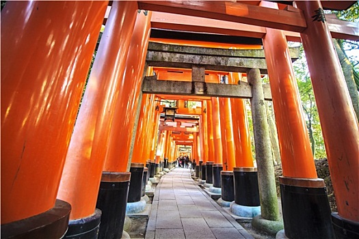 伏见稻荷大社,神祠,京都,日本