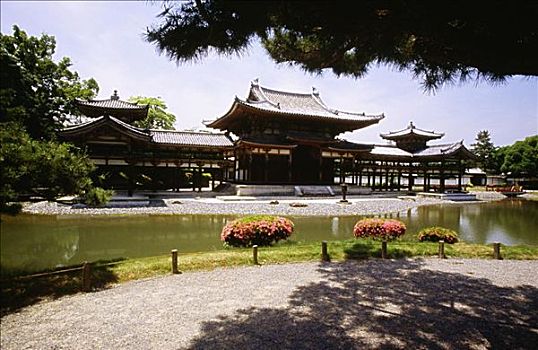 水塘,正面,佛教寺庙,庙宇,日本
