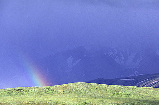 美国,阿拉斯加,德纳里峰国家公园,多彩,区域,彩虹