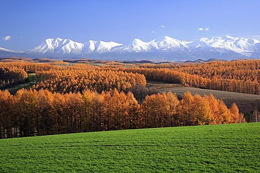 山,晚秋,十胜岳山