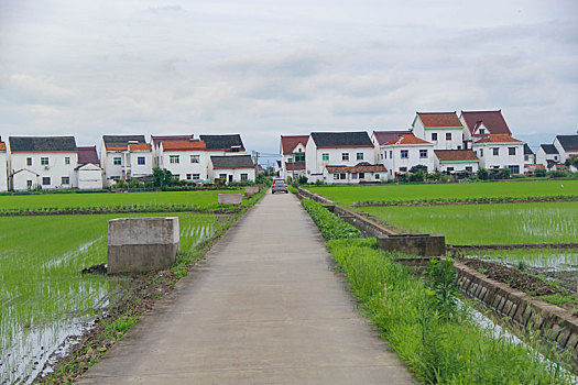 田园风光,乡村人家