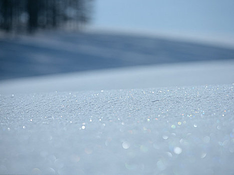 雪,脸